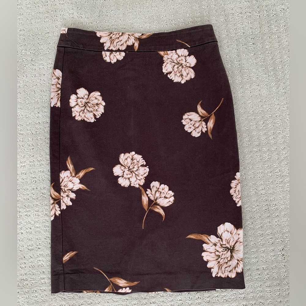 Ann Taylor Pencil Skirt